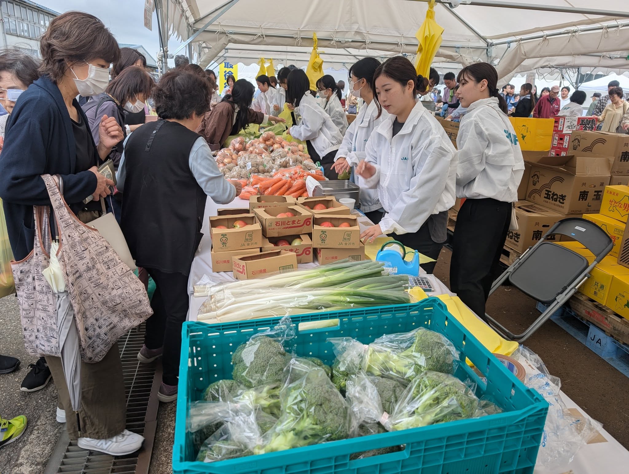 写真の説明はありません。