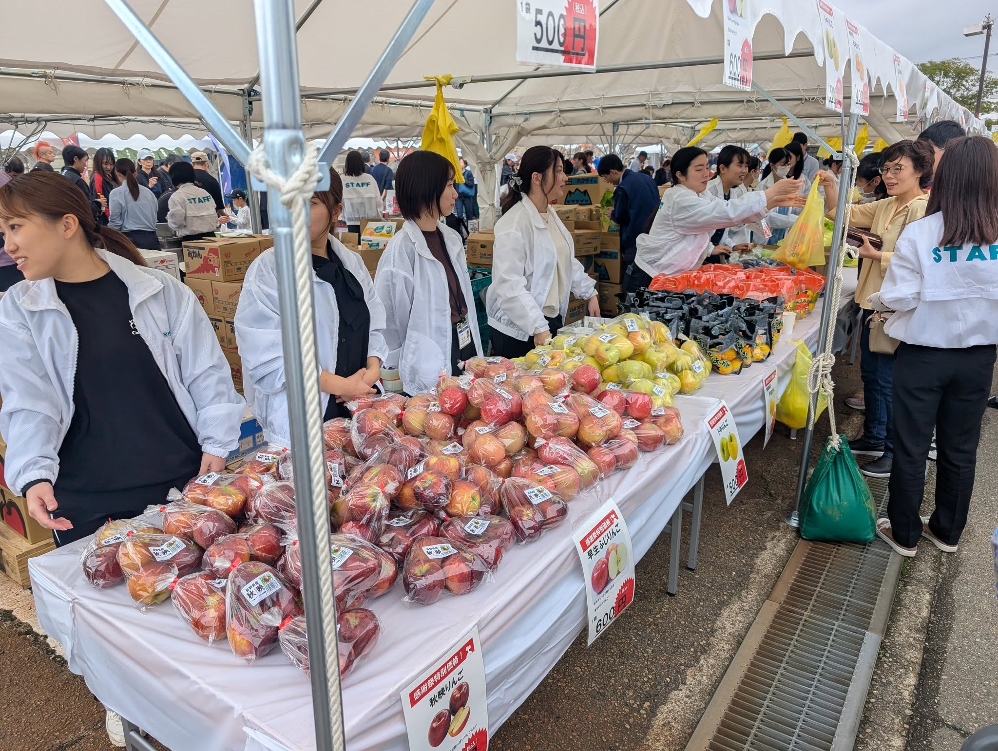 写真の説明はありません。